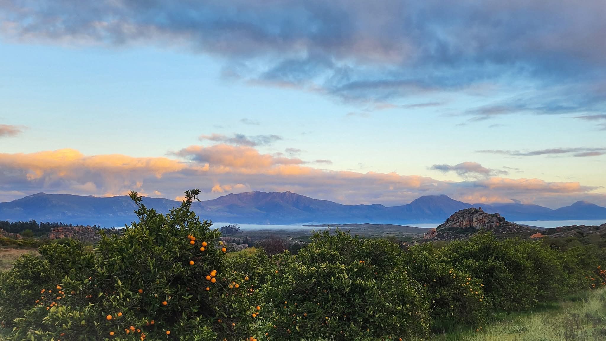 Citrusdal